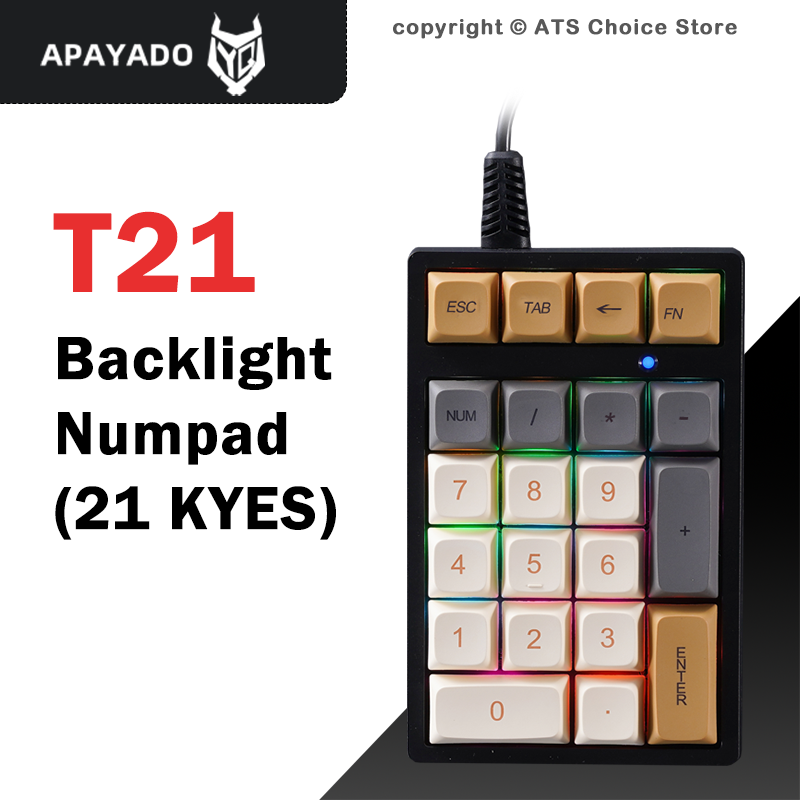 Keyboard Numpad Separate - APAYADO T21 メカニカルテンキー 21 キー ブルースイッチ